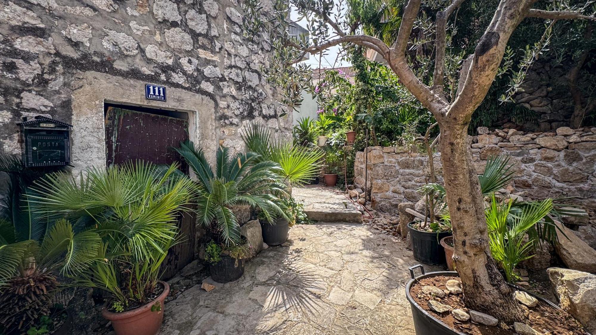 Cozy Guest House Kamenita 斯普利特 外观 照片